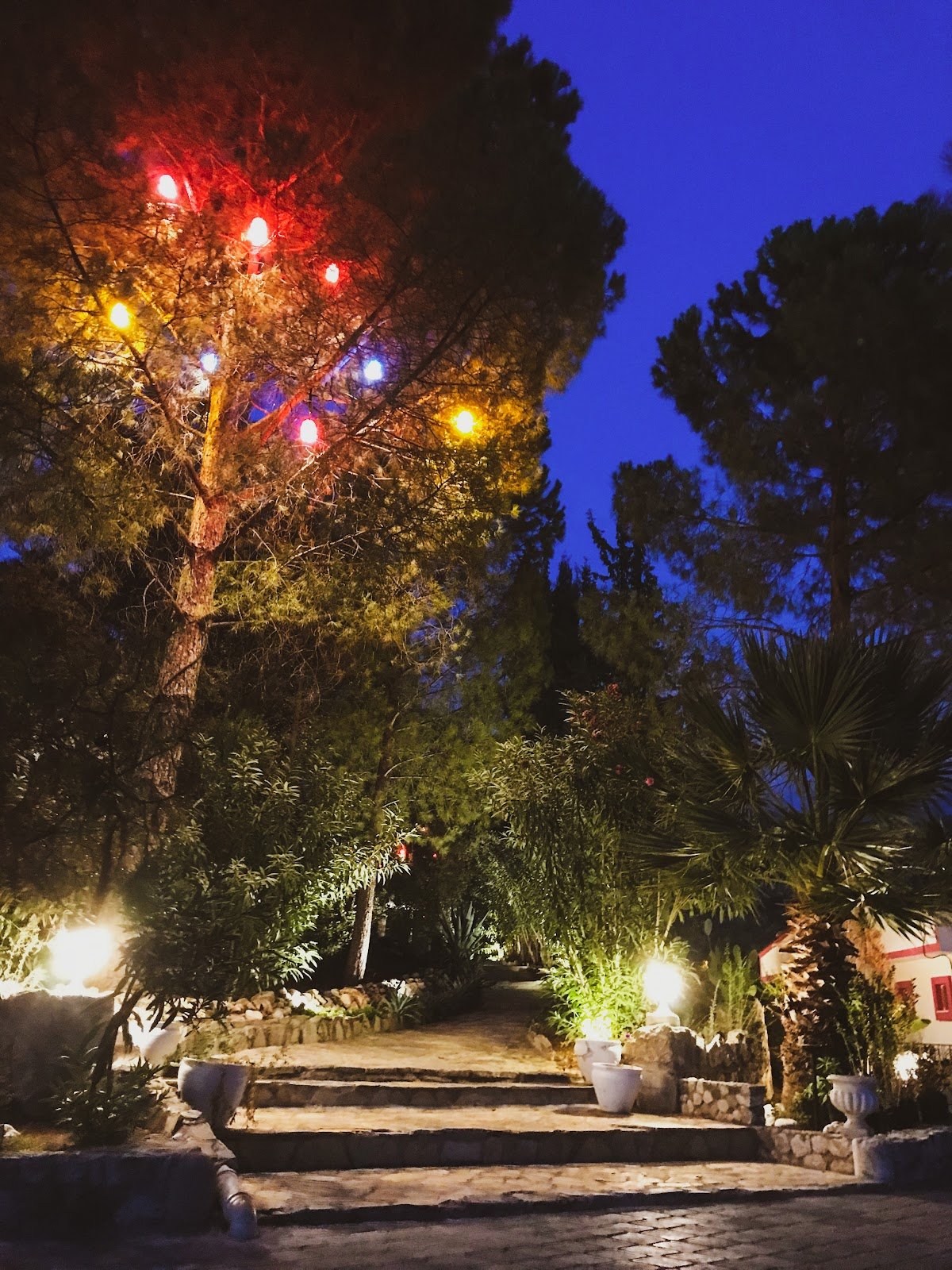 Tlos Mountain Lodge